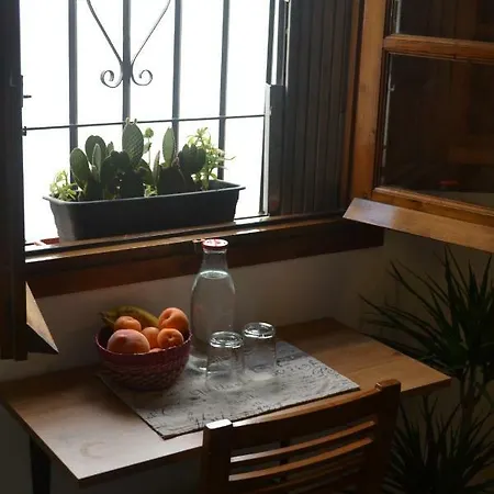 La Palma Flamenca 게스트하우스