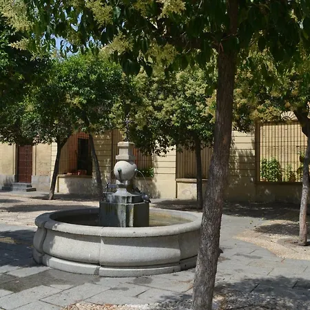 La Palma Flamenca