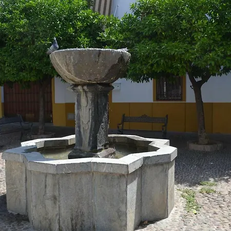 La Palma Flamenca