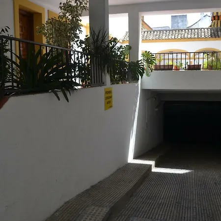 La Palma Flamenca 코르도바